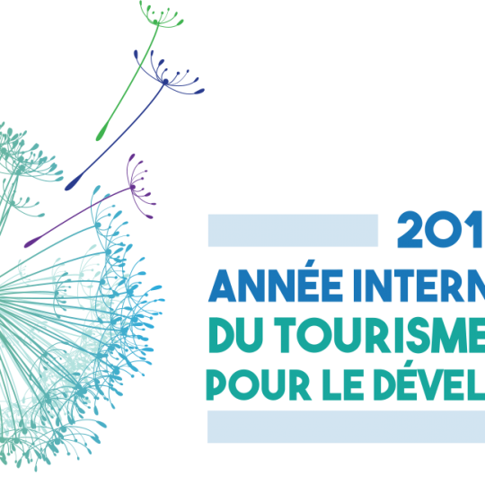 Logo de l'année Internationale du tourisme durable