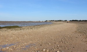 La passe aux Boeufs - île Madame