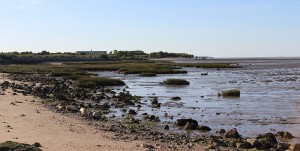 Les paysages sauvages de l'île Madame